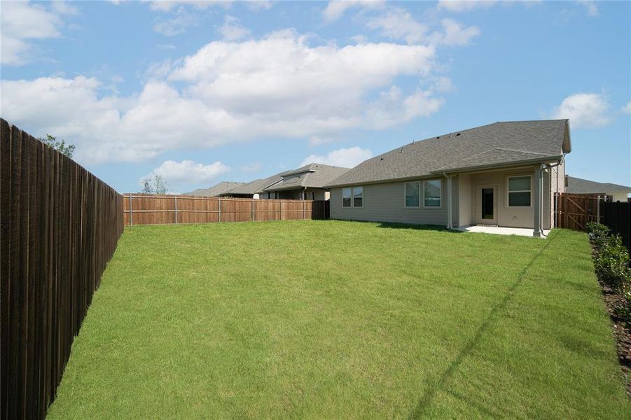 Backyard
