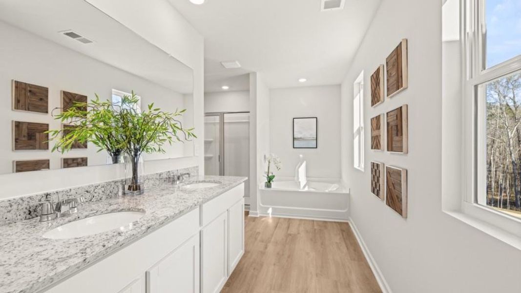 Furnished interior view inside a new home in Oconee Overlook, Gainesville (Image 21). Furnished interior view inside a new home in Oconee Overlook, Gainesville (Image 21).