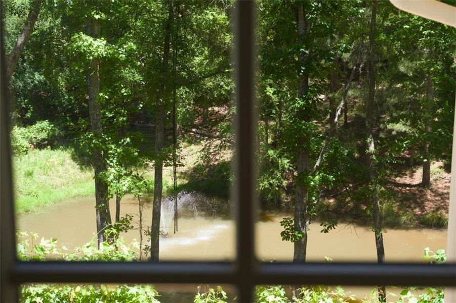 Natural landscape and outdoor views near in Roswell (Image 66). Natural landscape and outdoor views near in Roswell (Image 66).