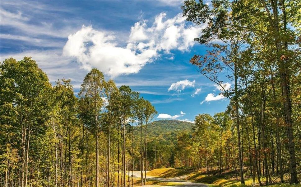 Natural landscape and outdoor views near in Talking Rock (Image 68). Natural landscape and outdoor views near in Talking Rock (Image 68).