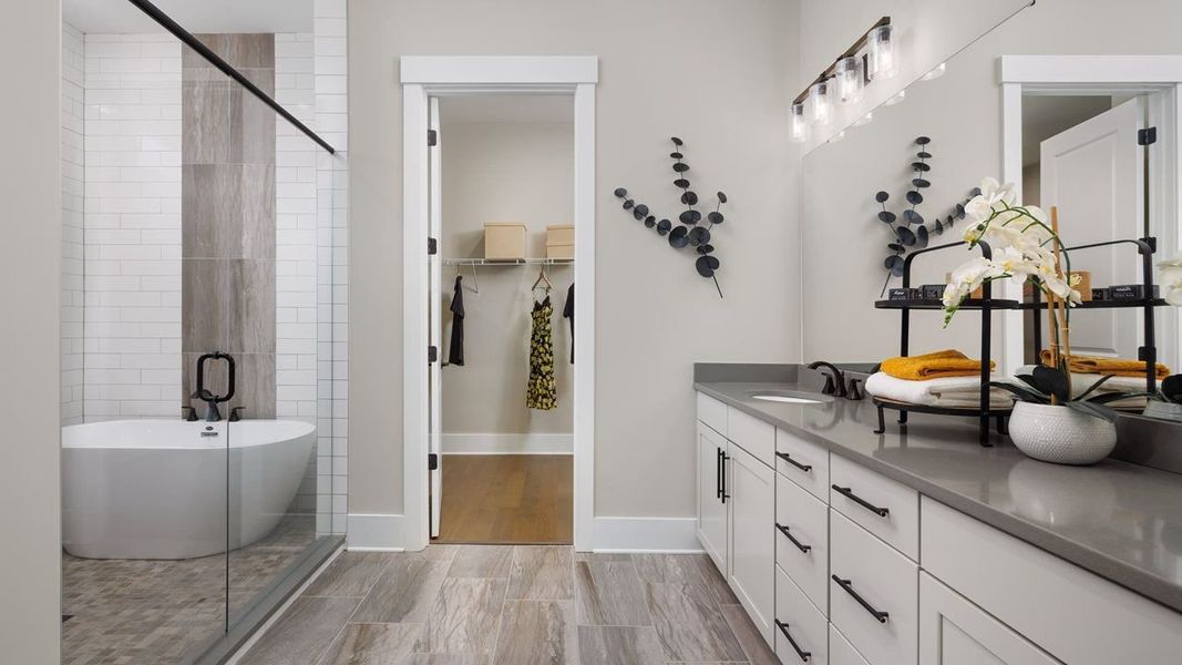 Owner's Bath