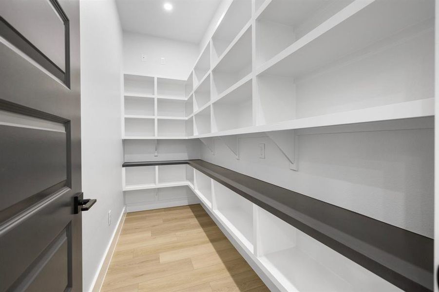 Huge walk-in pantry!