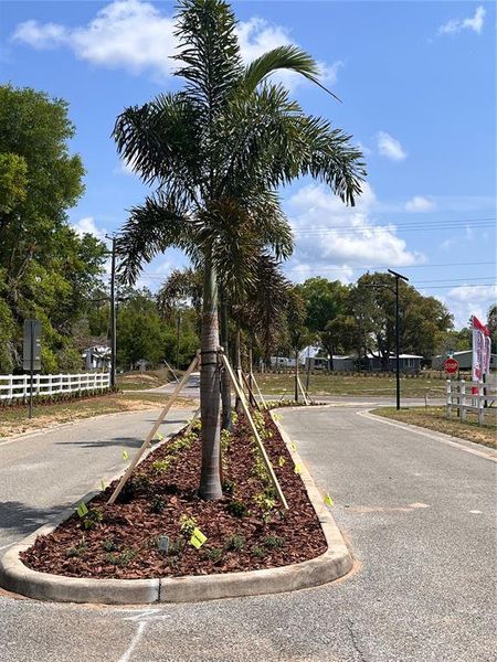Image 10 of a home in Hill Country Estates.