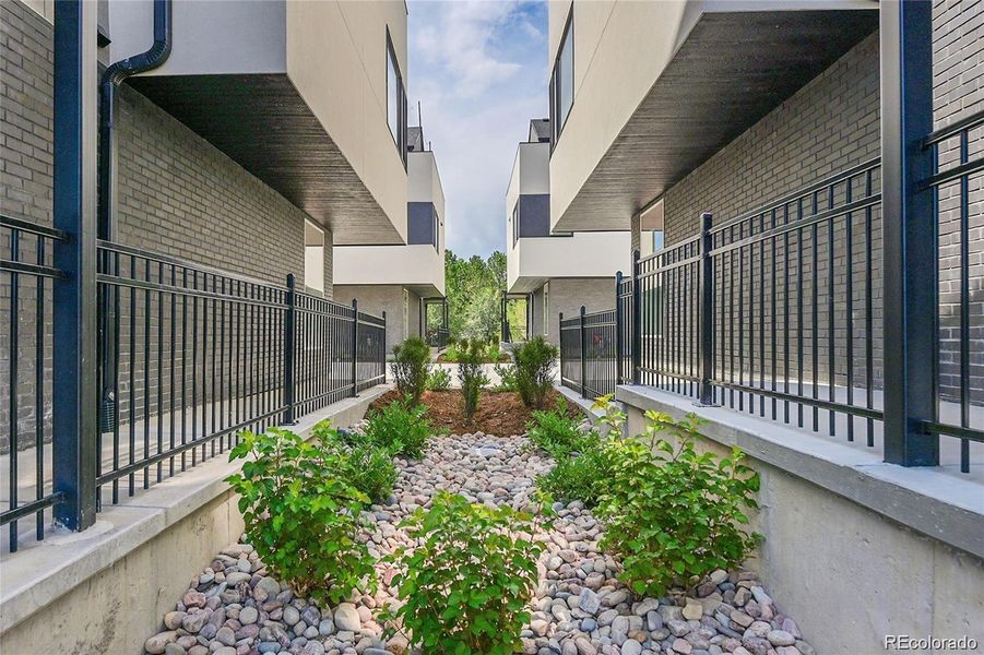 Community landscape between units.