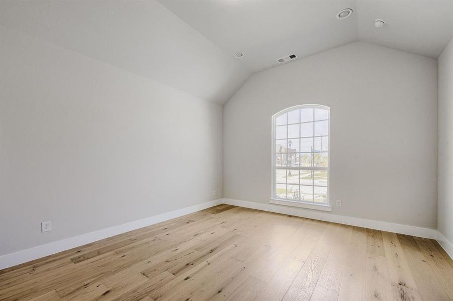 Room featuring a vaulted ceiling and an arched window with grid-patterned panes