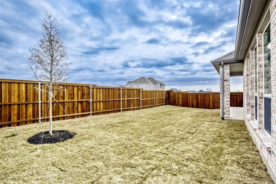 View of fenced backyard