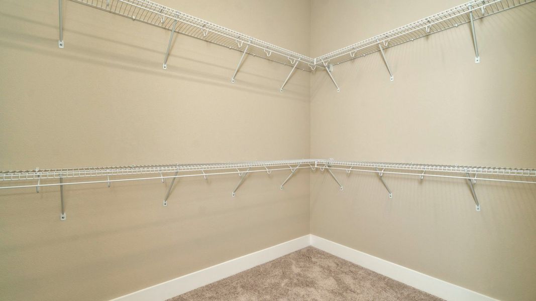 The Walk-In Closet