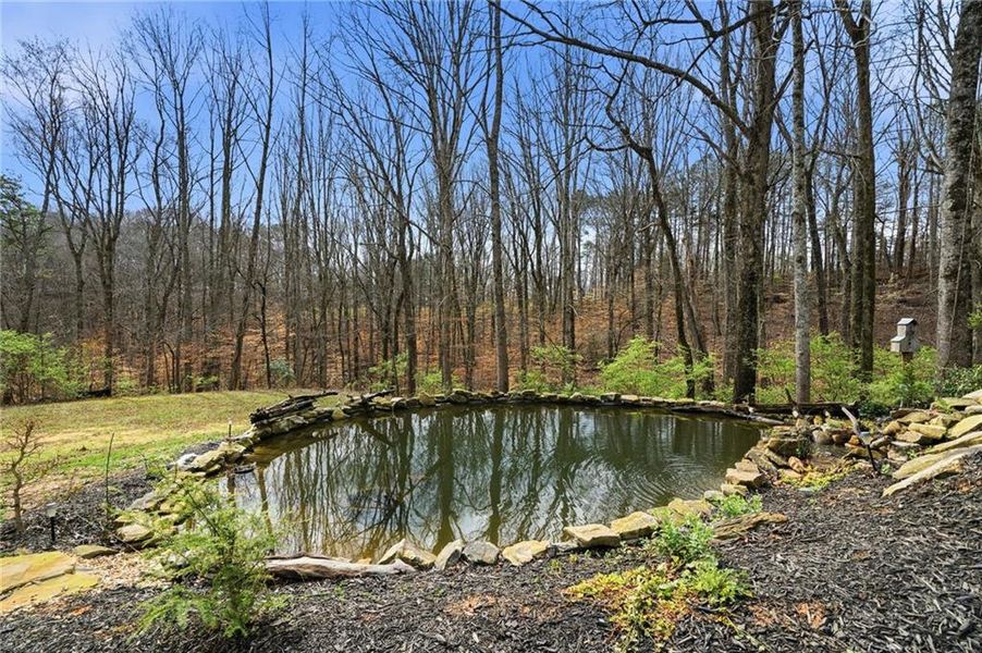 Natural landscape and outdoor views near  in Talking Rock (Image 23).
