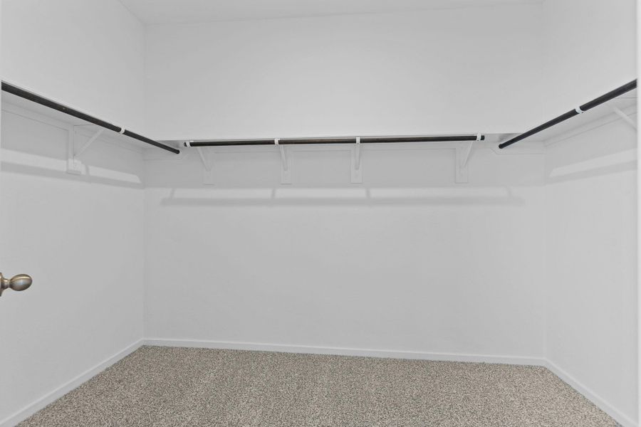 representative photo representative photo