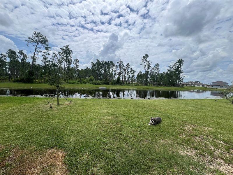 Image 37 of a home in North Park Isle.