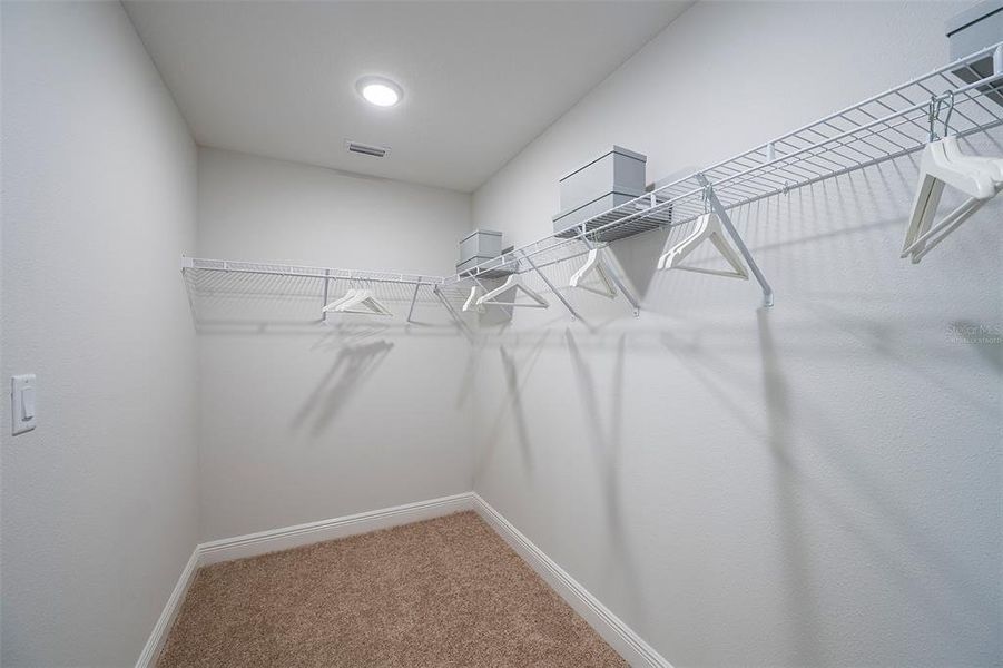 Spacious, unfurnished interior of a new home in Pasadena Landing, Wesley Chapel (Image 17).