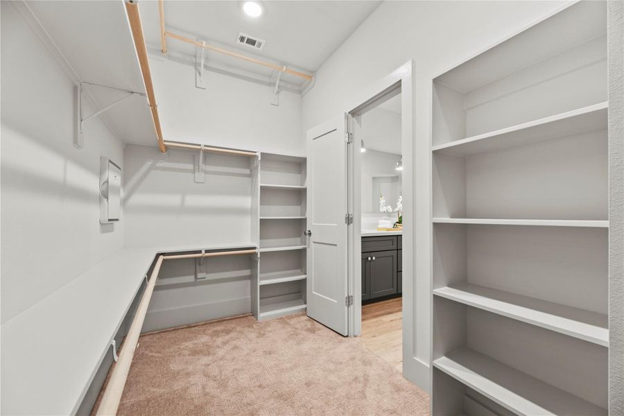 Spacious walk-in closet with plenty of shelving, soft neutral carpet, and direct access to a bright, modern bathroom.
