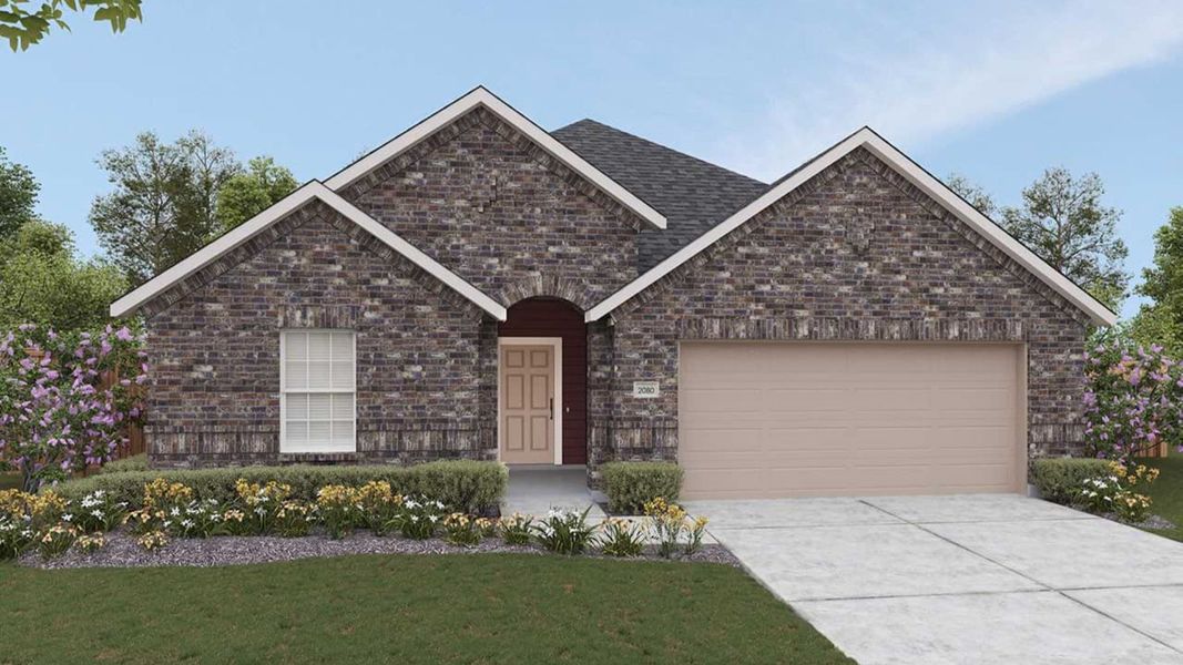 Elevation M Elevation M