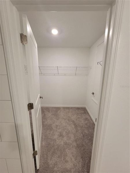 Spacious, unfurnished interior of a new home in , Lakeland (Image 19).