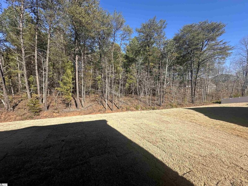 Natural landscape and outdoor views near Shiloh Trail in Wellford (Image 40).