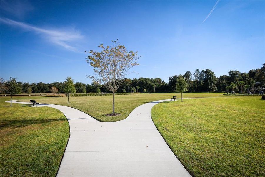 Natural landscape and outdoor views near in Ocoee (Image 38). Natural landscape and outdoor views near in Ocoee (Image 38).