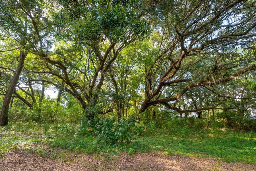 Natural landscape and outdoor views near  in Mount Pleasant (Image 8).