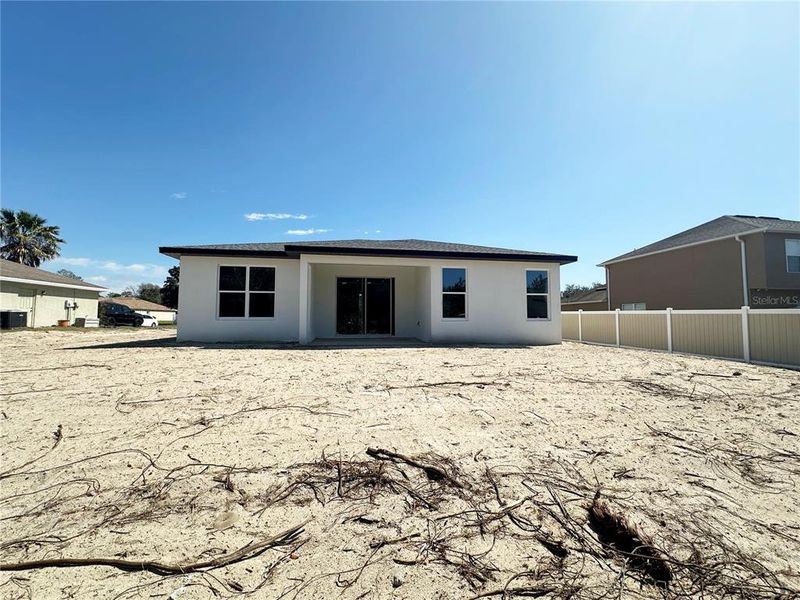 Ibis - Rear View Ibis - Rear View