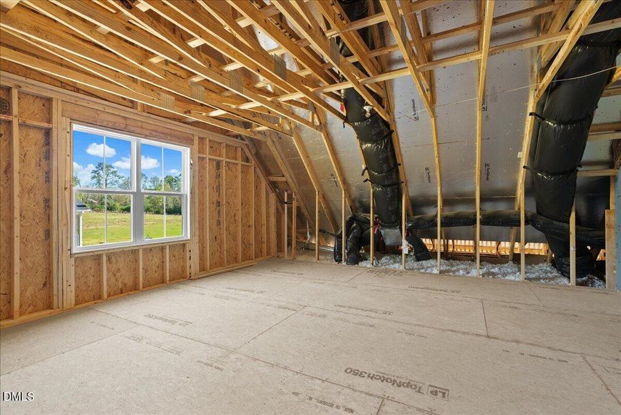 49-DSC03260 49-DSC03260