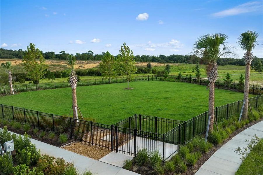 Community amenities in Waterbrooke, Clermont (Image 20). Community amenities in Waterbrooke, Clermont (Image 20).