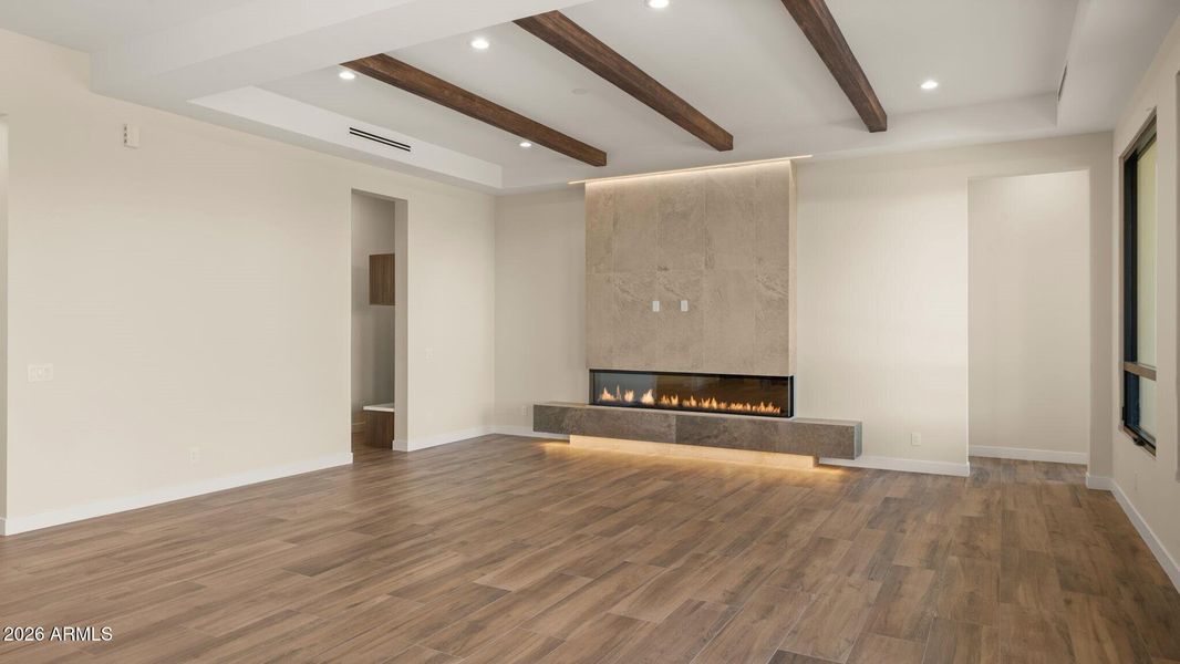 Contemporary Fireplace
