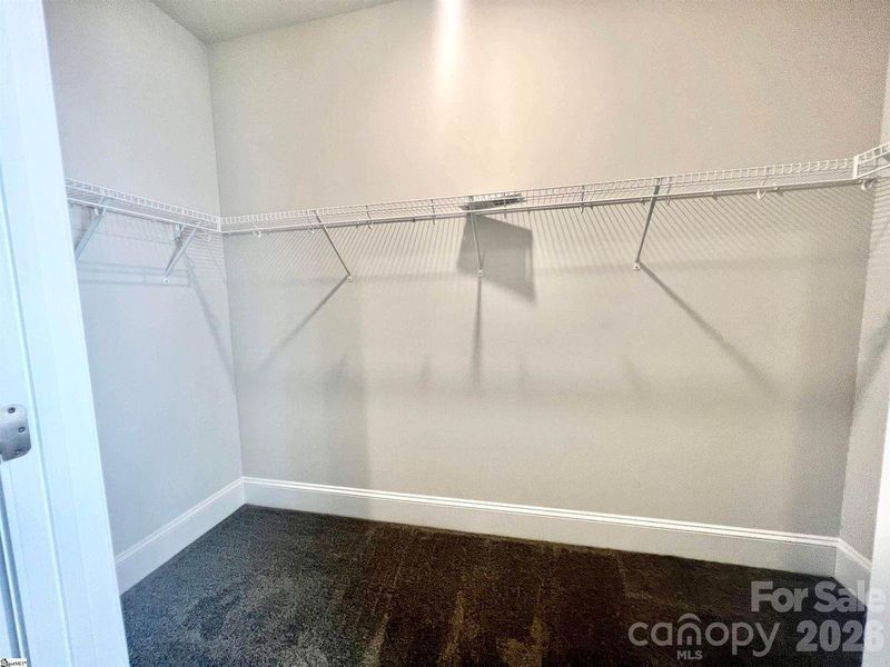 Representative Photo