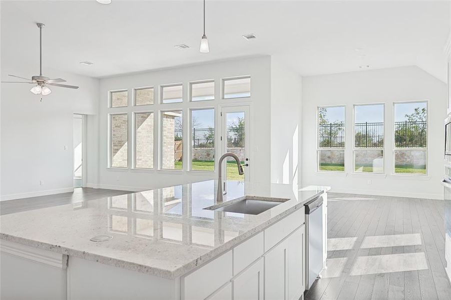 Kitchen featuring stainless steel dishwasher, sink, hardwood / wood-style flooring, and a healthy amount of sunlight