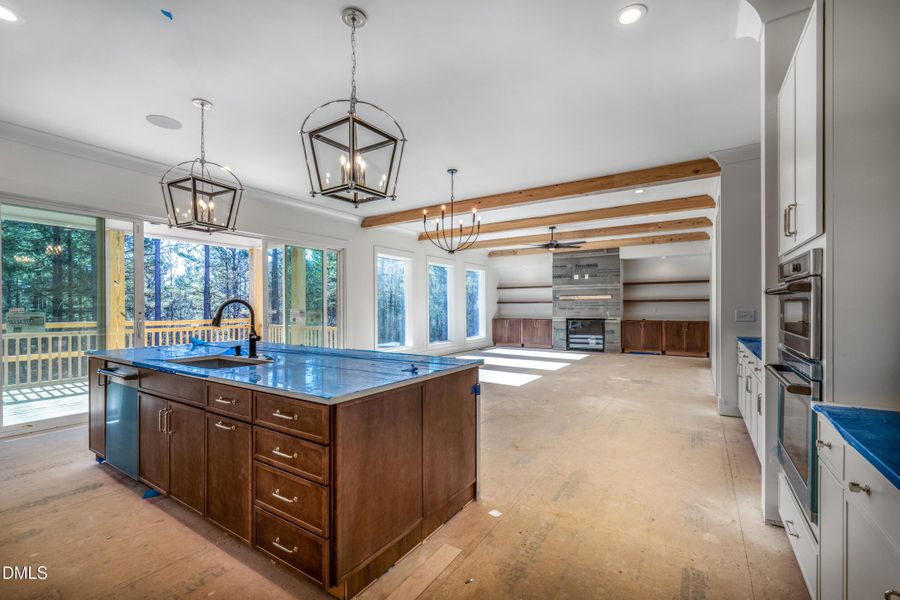 20 canvasback 20 canvasback