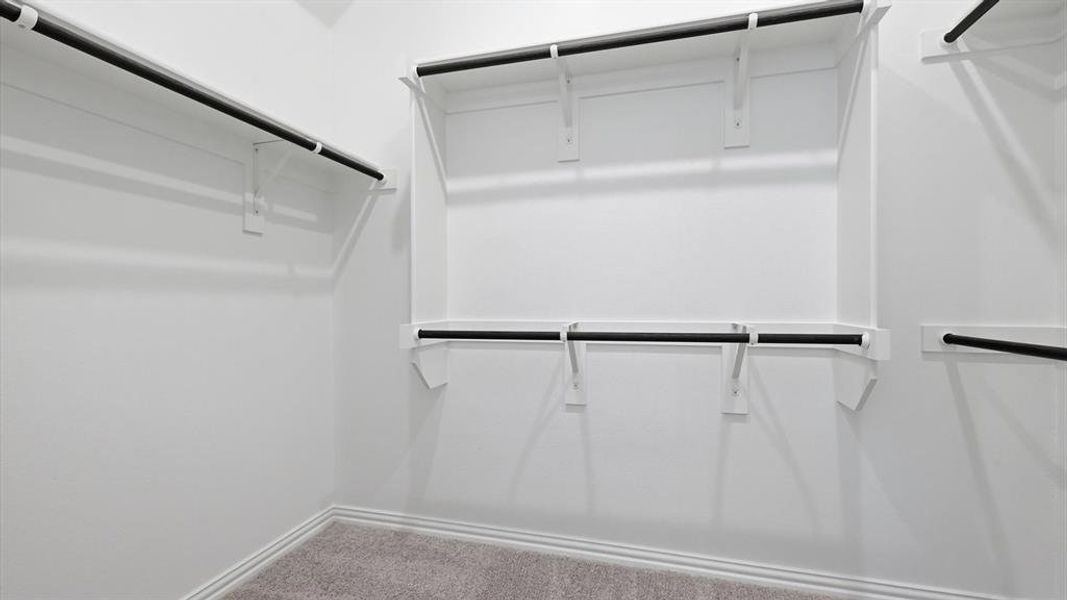 Built-in closet system featuring multiple hanging rods and shelving Built-in closet system featuring multiple hanging rods and shelving
