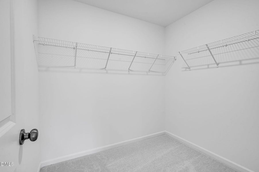 SUN_CaitlinCrossing_Pic_OakleyII-29