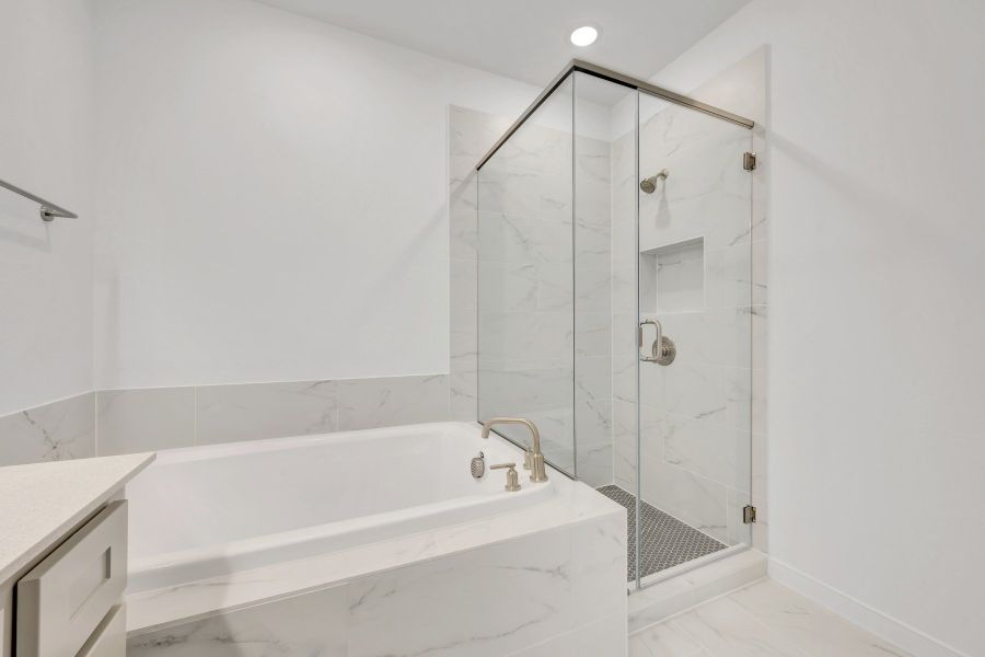 Owner's Bath