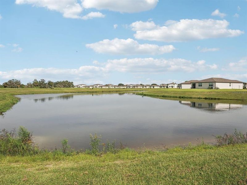 Natural landscape and outdoor views near Salt Meadows - Classic Series in Parrish (Image 29). Natural landscape and outdoor views near Salt Meadows - Classic Series in Parrish (Image 29).