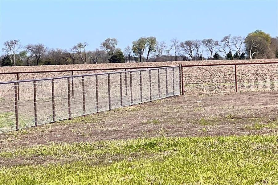 Back Yard completely Fenced.  Brand New!