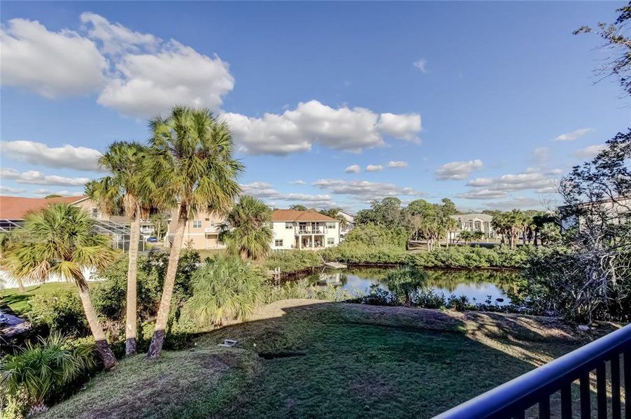 Natural landscape and outdoor views near  in New Port Richey (Image 66).