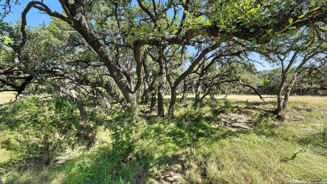 Image 15 of a home in .