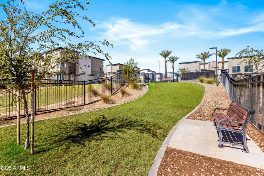 Ironwood 10-24-22 Ironwood 10-24-22