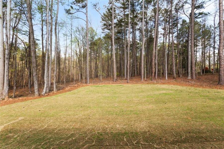 Natural landscape and outdoor views near in South Fulton (Image 39). Natural landscape and outdoor views near in South Fulton (Image 39).