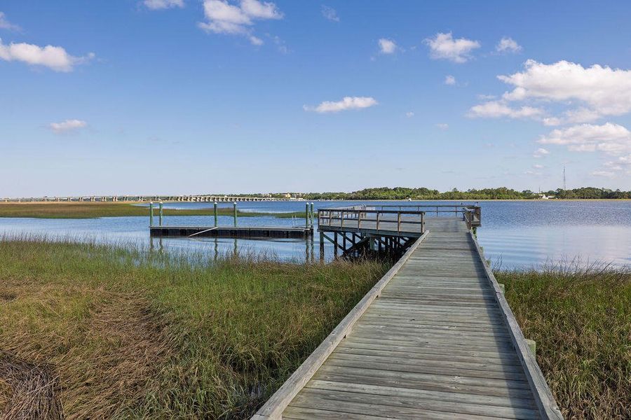 Natural landscape and outdoor views near The Settlement at Ashley Hall in Charleston (Image 41). Natural landscape and outdoor views near The Settlement at Ashley Hall in Charleston (Image 41).