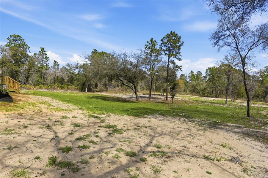 Natural landscape and outdoor views near  in Morriston (Image 39).