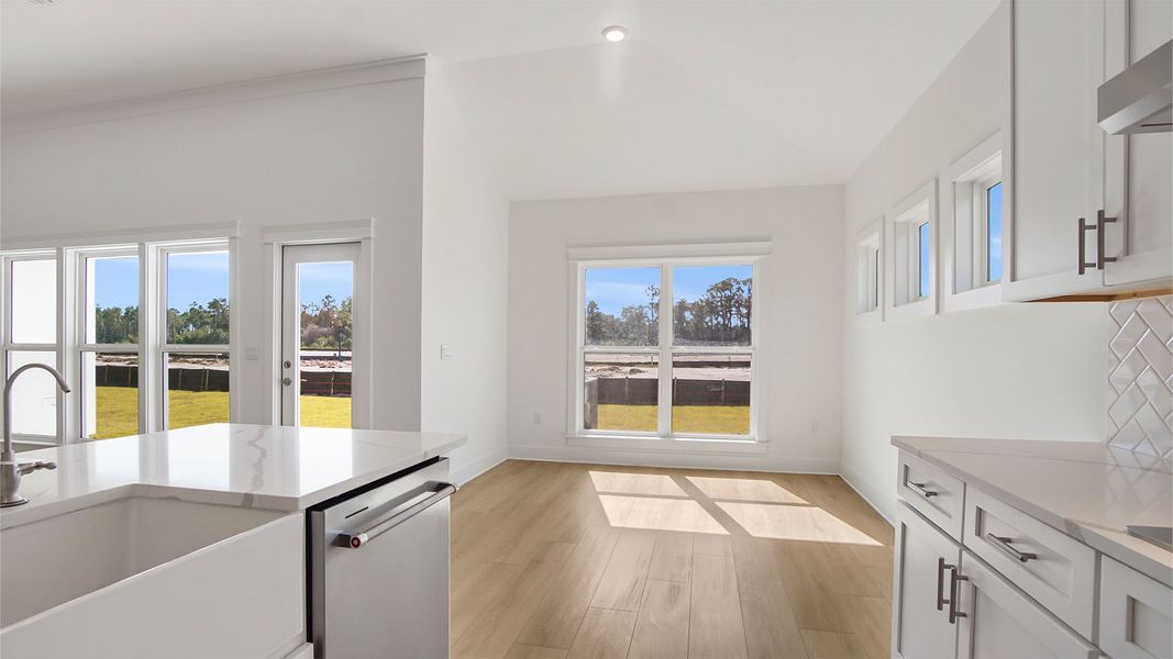 Image 39 representing the Magnolia by D.R. Horton in Breakfast Point East Phase II, Panama City Beach, FL.