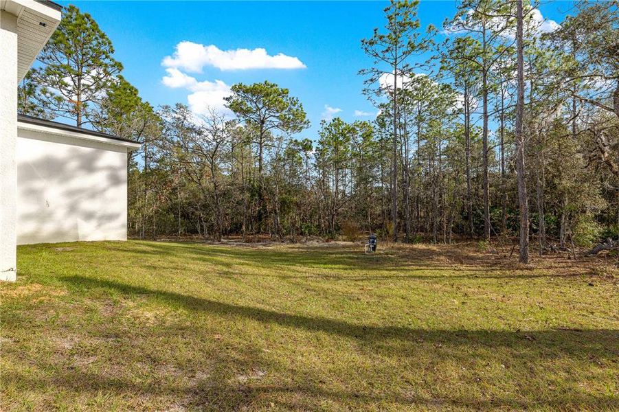 Exterior details and patio area of a home in , Dunnellon (Image 4).