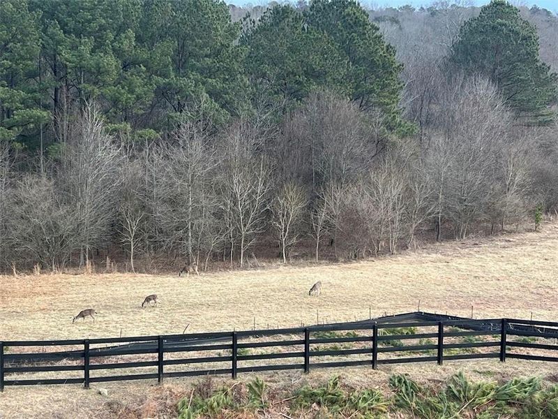 Natural landscape and outdoor views near  in Woodstock (Image 47).