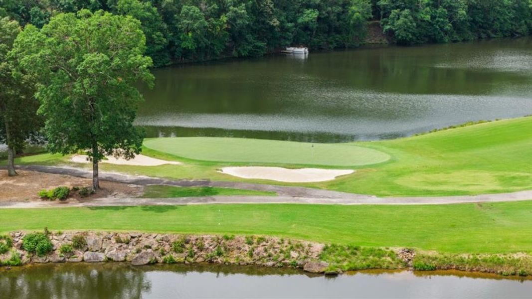 Natural landscape and outdoor views near Fairway 17 at Mirror Lake in Villa Rica (Image 59).