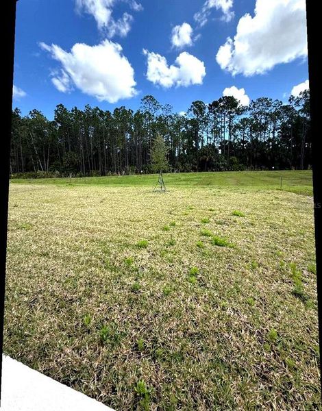 Natural landscape and outdoor views near Legends Preserve - Signature Series in Daytona Beach (Image 22).