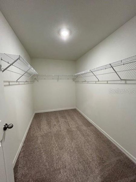 Spacious, unfurnished interior of a new home in Port Charlotte, Port Charlotte (Image 8). Spacious, unfurnished interior of a new home in Port Charlotte, Port Charlotte (Image 8).