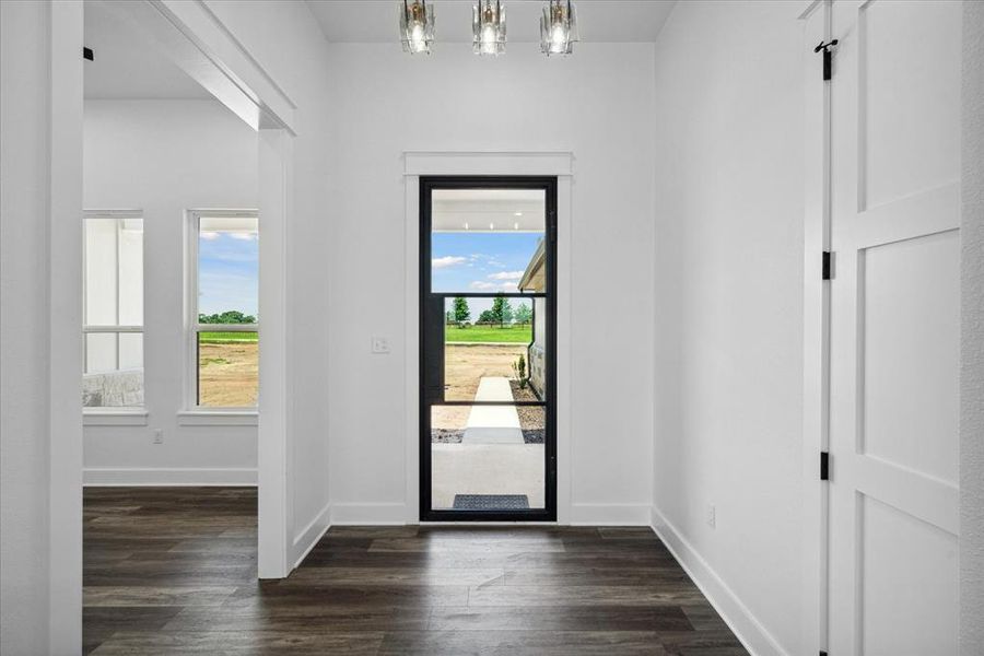 Entrance foyer featuring dark wood finished floors