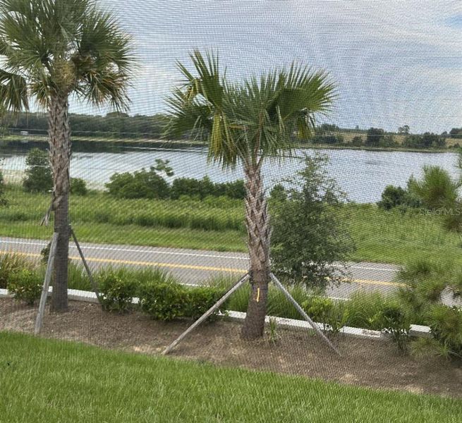 Natural landscape and outdoor views near in Groveland (Image 21). Natural landscape and outdoor views near in Groveland (Image 21).