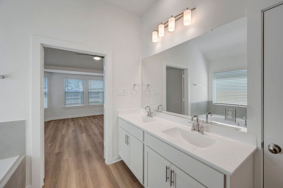 Owner's Bathroom
