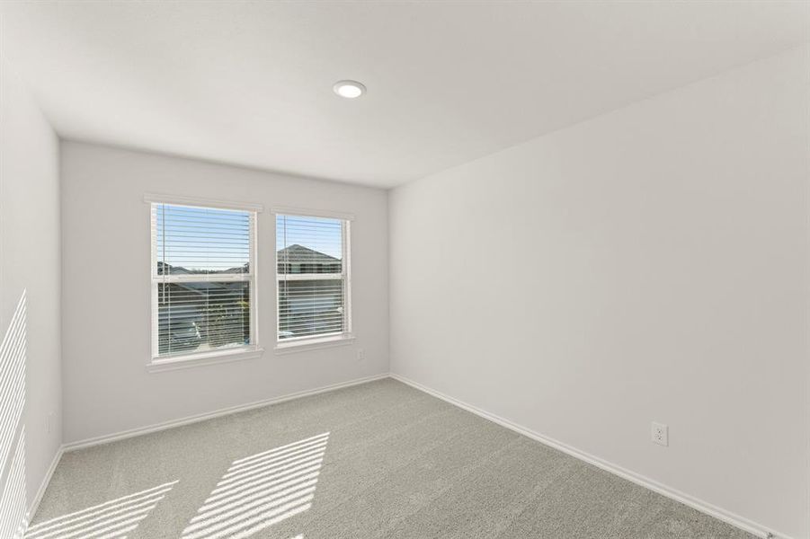 23. 3312 Sedge Grass - Bed 4