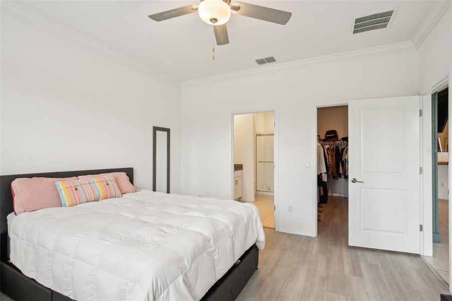 Master bedroom. Master bedroom.